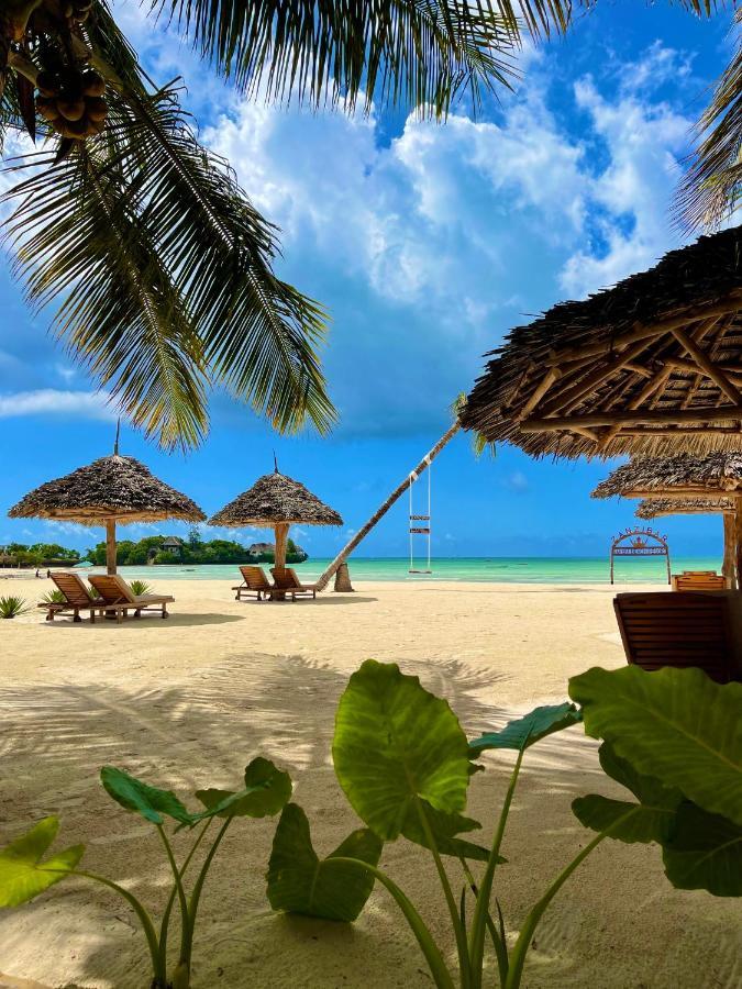 Karibu Beach Resort Pongwe Εξωτερικό φωτογραφία